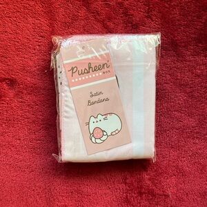 Pusheen Summer 2025 box satin bandana